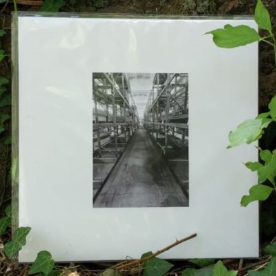 2021 - FucoFF into the wild.jpg